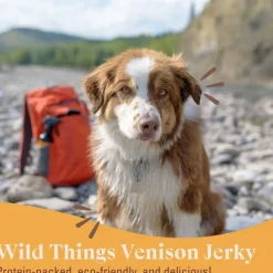 OTIS Wild Things Venison Jerky Treats for Dogs (4 oz)