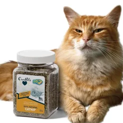 OurPets Cosmic Catnip, 1.25 -oz Jar