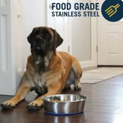 OurPets Premium Stainless Steel Rubber-Bonded Dog Bowl