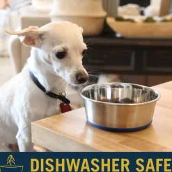 OurPets Premium Stainless Steel Rubber-Bonded Dog Bowl