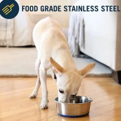 OurPets Premium Stainless Steel Rubber-Bonded Dog Bowl
