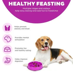 Outward Hound Fun Feeder Slo Bow Slow Feeder Dog Bowl, Purple Flower