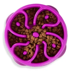 Outward Hound Fun Feeder Slo Bow Slow Feeder Dog Bowl, Purple Flower