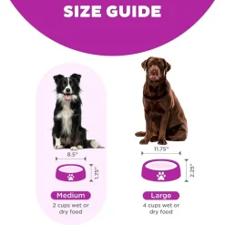 Outward Hound Fun Feeder Slo Bow Slow Feeder Dog Bowl, Purple Flower