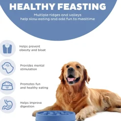 Outward Hound Fun Feeder Slo Bowl Slow Feeder Dog Bowl, Blue