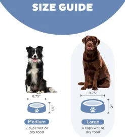 Outward Hound Fun Feeder Slo Bowl Slow Feeder Dog Bowl, Blue