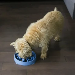 Outward Hound Fun Feeder Slo Bowl Slow Feeder Dog Bowl, Blue