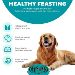 Outward Hound Fun Feeder Slo Bowl Slow Feeder Dog Bowl, Turquoise Drop