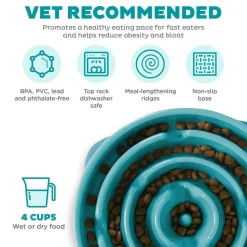 Outward Hound Fun Feeder Slo Bowl Slow Feeder Dog Bowl, Turquoise Drop