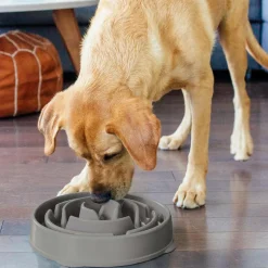 Outward Hound Fun Feeder Slo Bowl Slow Feeder Dog Bowl, Grey Drop