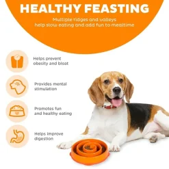 Outward Hound Fun Feeder Slo Bow Slow Feeder Dog Bowl, Orange Swirl