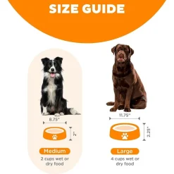 Outward Hound Fun Feeder Slo Bow Slow Feeder Dog Bowl, Orange Swirl