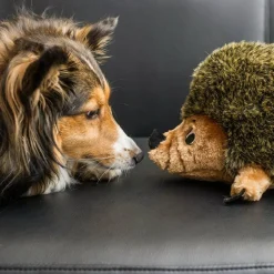 Outward Hound Hedgehogz Plush Dog Toy