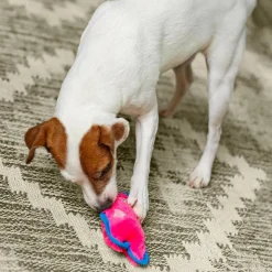 Outward Hound Invincible Minis Extra Small Dog Toy