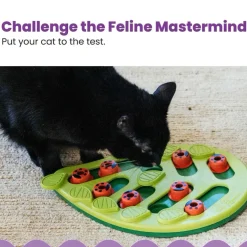 Outward Hound Nina Ottosson Buggin' Out Puzzle & Play Interactive Treat Puzzle For Cats