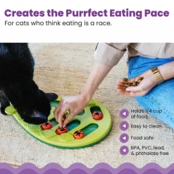 Outward Hound Nina Ottosson Buggin' Out Puzzle & Play Interactive Treat Puzzle For Cats