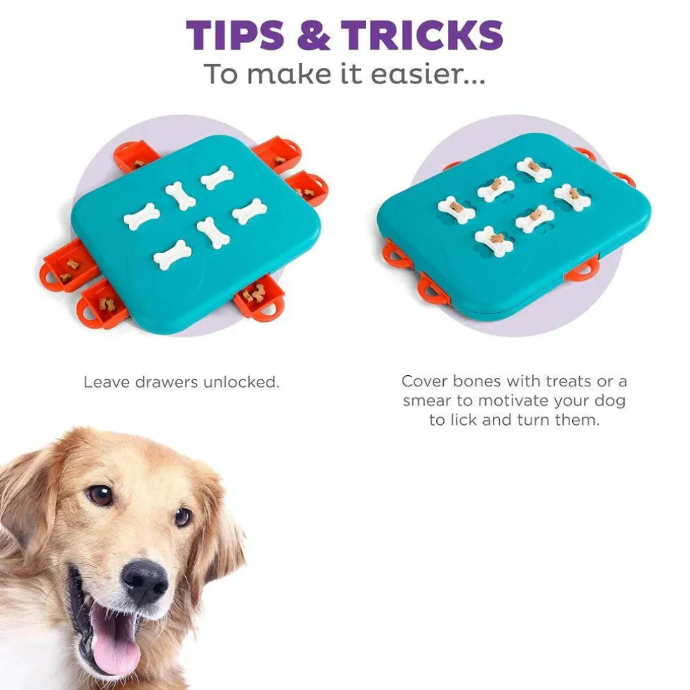Outward Hound Nina Ottosson Casino Interactive Treat Puzzle Dog Toy Advanced