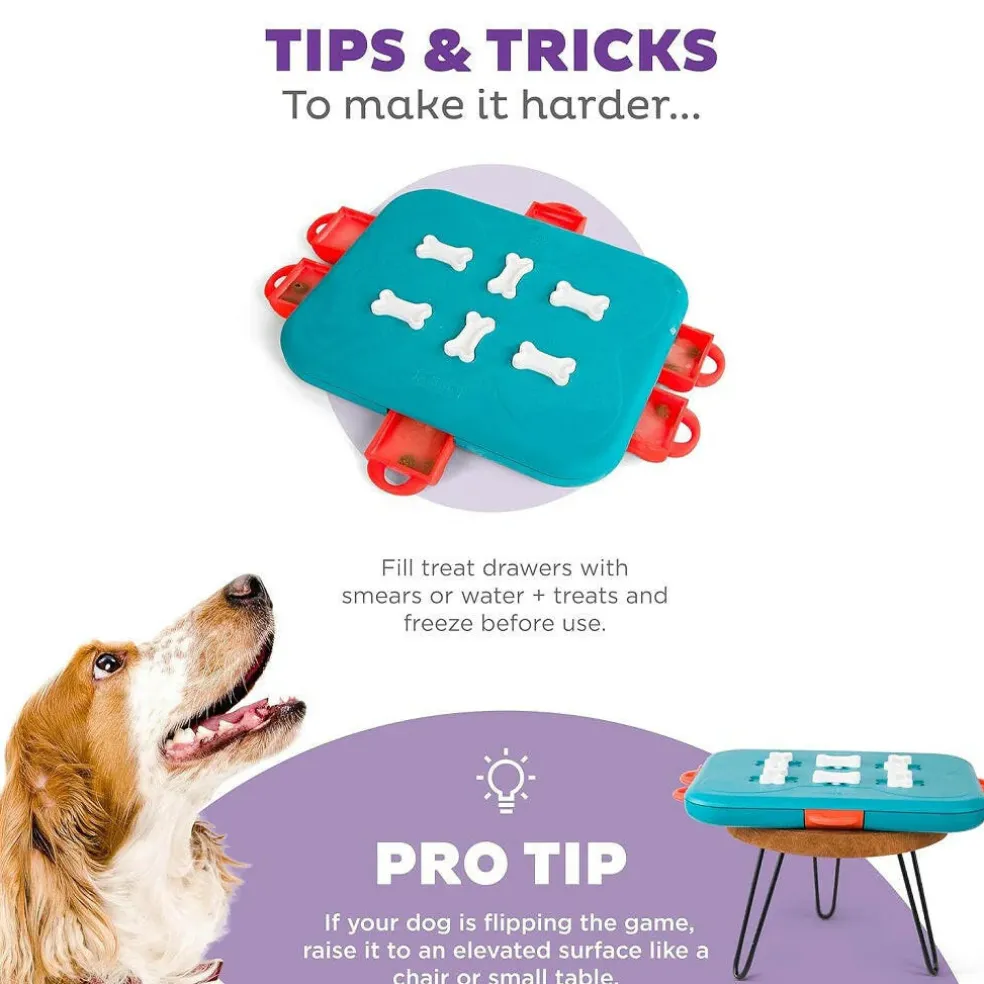 Outward Hound Nina Ottosson Casino Interactive Treat Puzzle Dog Toy Advanced