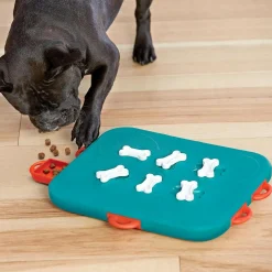 Outward Hound Nina Ottosson Casino Interactive Treat Puzzle Dog Toy Advanced