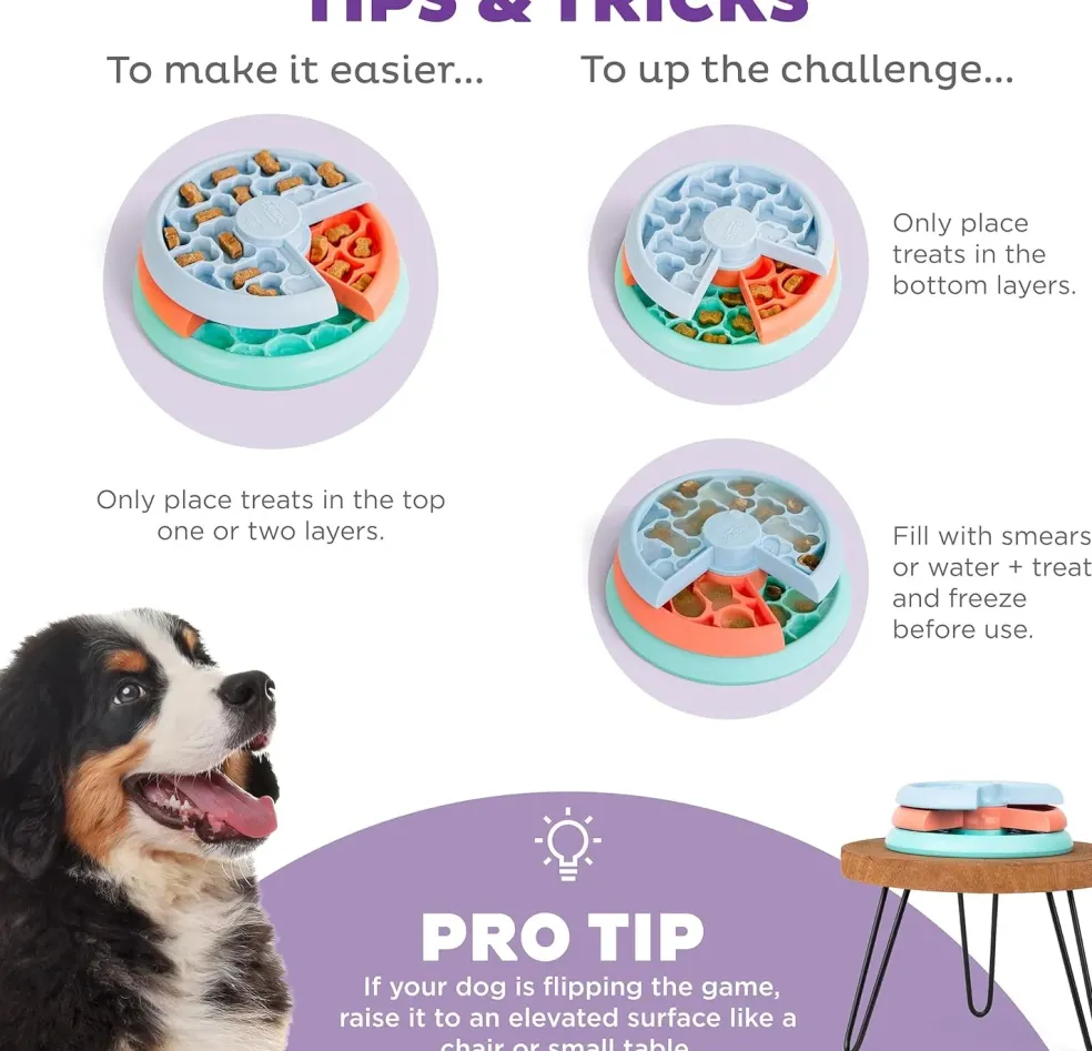 Outward Hound Nina Ottosson Puppy Lickin' Layers Dog Puzzle Game