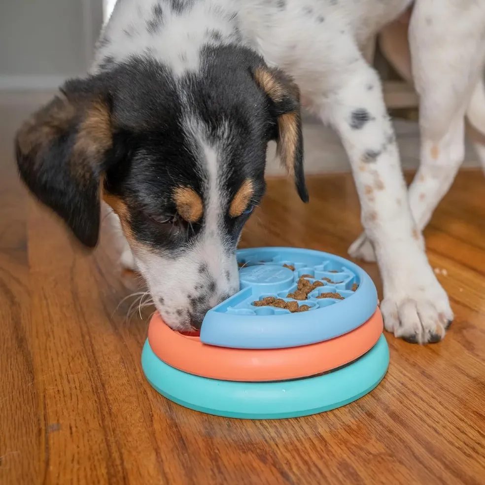 Outward Hound Nina Ottosson Puppy Lickin' Layers Dog Puzzle Game