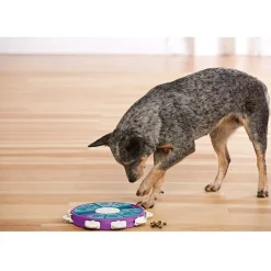 Outward Hound Nina Ottosson Twister Interactive Puzzle Toy For Dogs