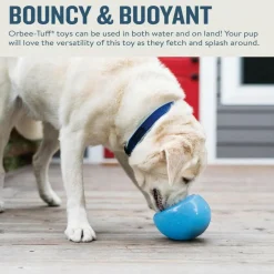 Outward Hound Planet Dog Orbee Snoop Interactive Treat Dispensing Toy Blue (Large)