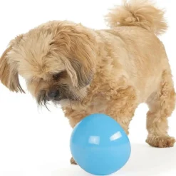 Outward Hound Planet Dog Orbee Snoop Interactive Treat Dispensing Toy Blue (Large)