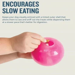 Outward Hound Planet Dog Orbee Mazee Interactive Treat Dispensing Puzzle Pink