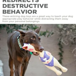 Outward Hound Squawkers Earl Latex Rubber Chicken Interactive Toy For Dog (Large)