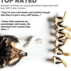 Outward Hound Squeakin Animals Squirrel Brown Dog Toy (3 pack)