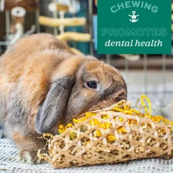 Oxbow Animal Health Enriched Life Willow Play Cube Small Animal Chew Toy