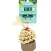 Oxbow Animal Health Enriched Life Celebration Cupcake Small Animal Chew Toy