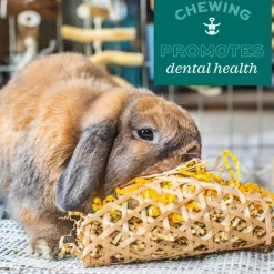 Oxbow Animal Health Enriched Life Timothy Apple Slice Small Animal Chew Toy