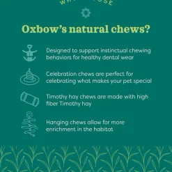 Oxbow Animal Health Enriched Life Timothy Apple Slice Small Animal Chew Toy