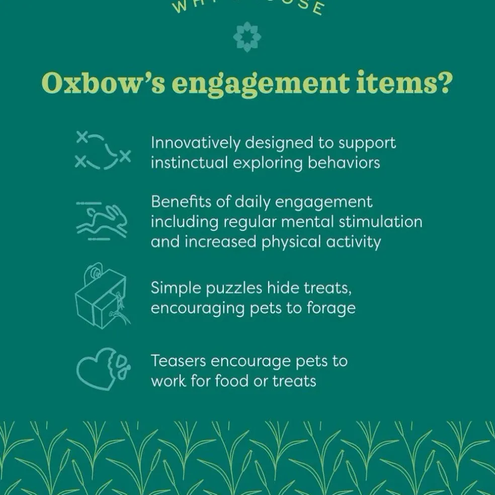 Oxbow Animal Health Enriched Life Play Garden Small Animal Chew Toy