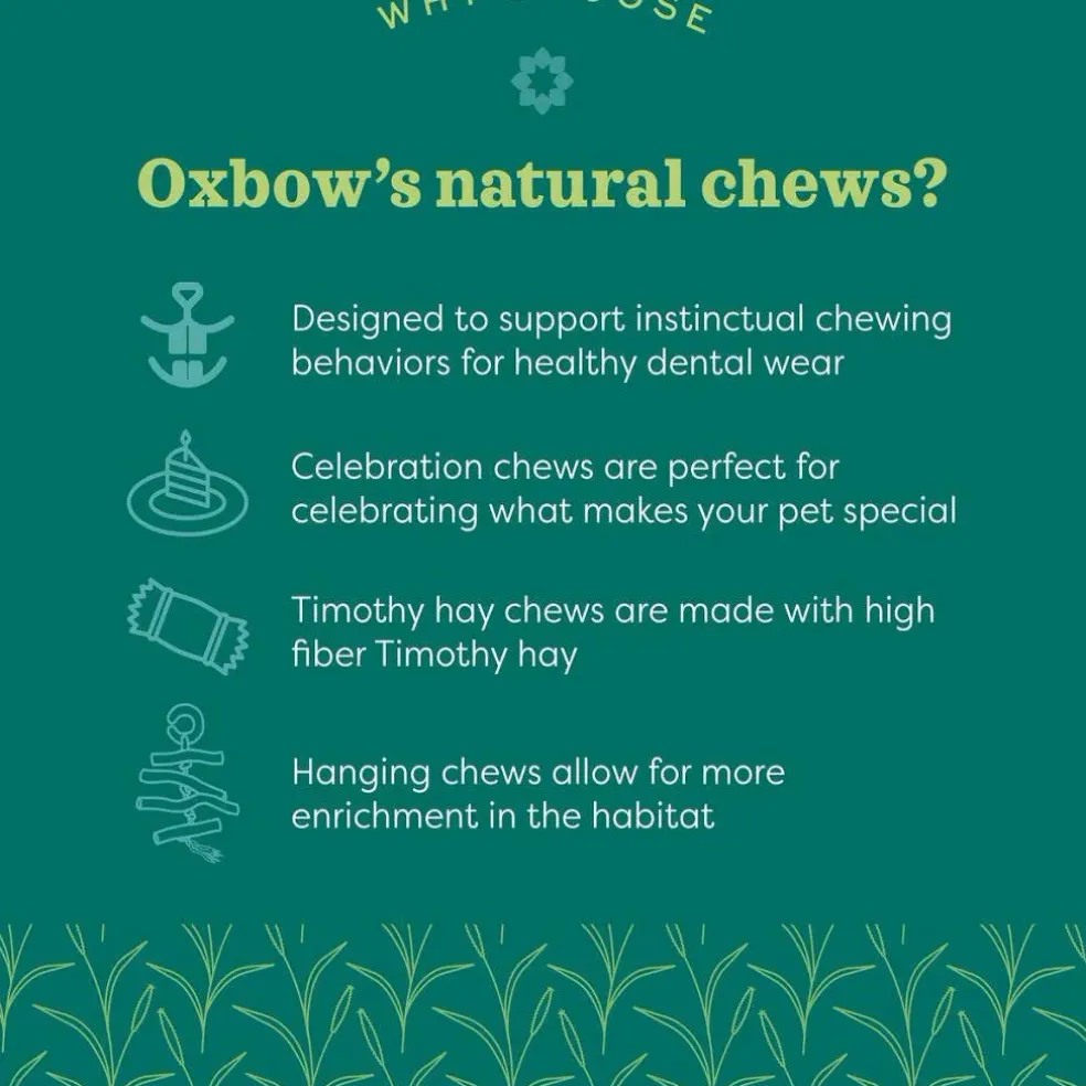 Oxbow Animal Health Enriched Life Natural Kabob Small Animal Chew Toy