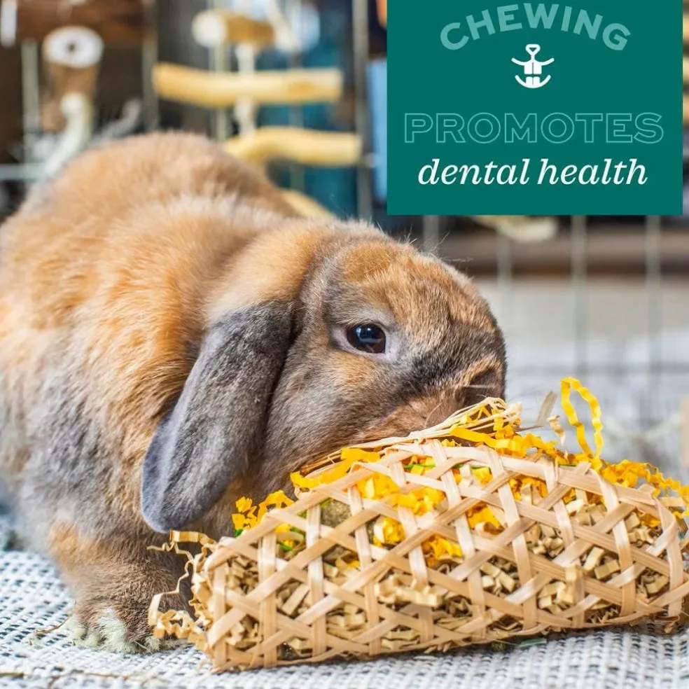 Oxbow Animal Health Enriched Life Hanging Mulberry Chew Small Animal Chew Toy