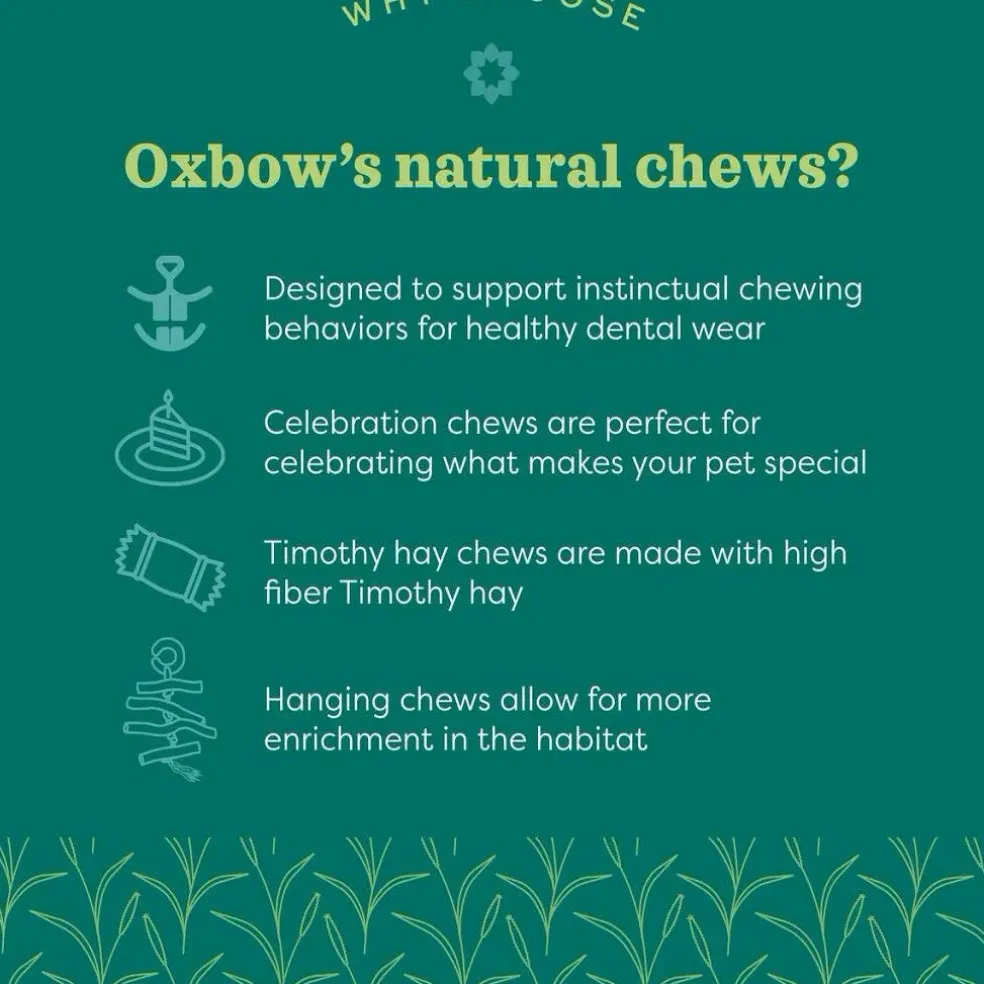 Oxbow Animal Health Enriched Life Hanging Mulberry Chew Small Animal Chew Toy