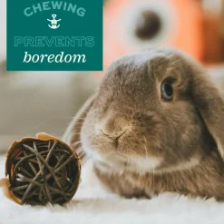 Oxbow Animal Health Enriched Life Hanging Mulberry Chew Small Animal Chew Toy
