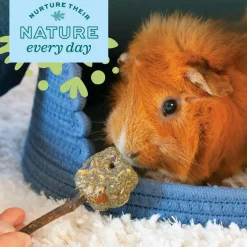 Oxbow Animal Health Enriched Life Crunchy Carrot Small Animal Chew Toy