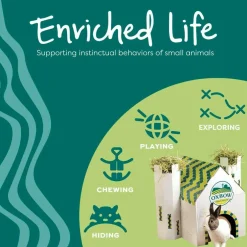 Oxbow Animal Health Enriched Life Crunchy Carrot Small Animal Chew Toy