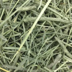 Oxbow Animal Health Harvest Stacks Western Timothy Hay (35 oz)