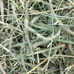 Oxbow Animal Health Hay Blends Western Timothy & Orchard Grass Hay