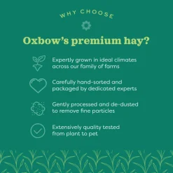 Oxbow Animal Health Oat Hay for Small Animals (15 oz)