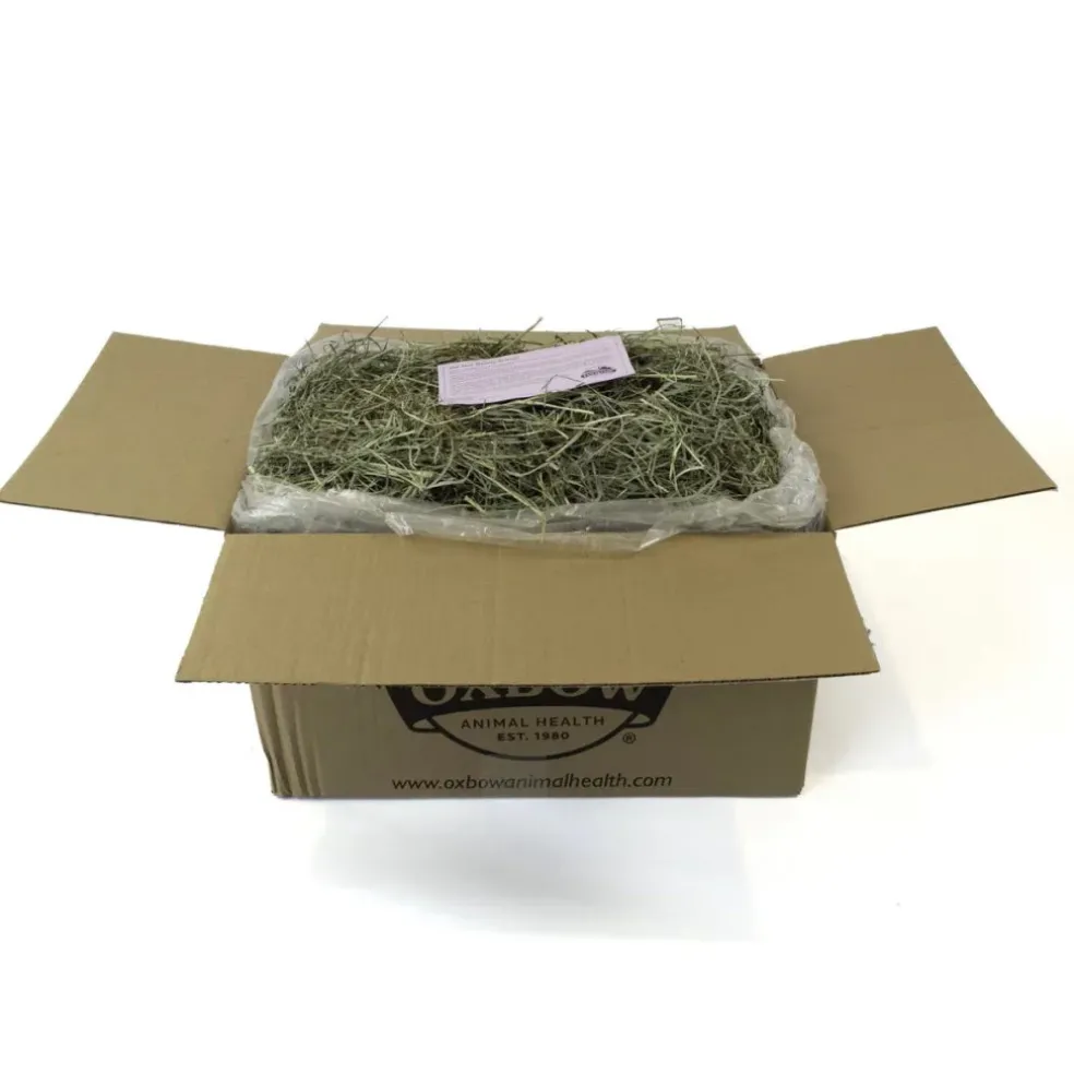 Oxbow Animal Health Orchard Grass Hay Food For Small Animals