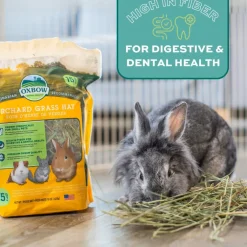 Oxbow Animal Health Orchard Grass Hay Food For Small Animals