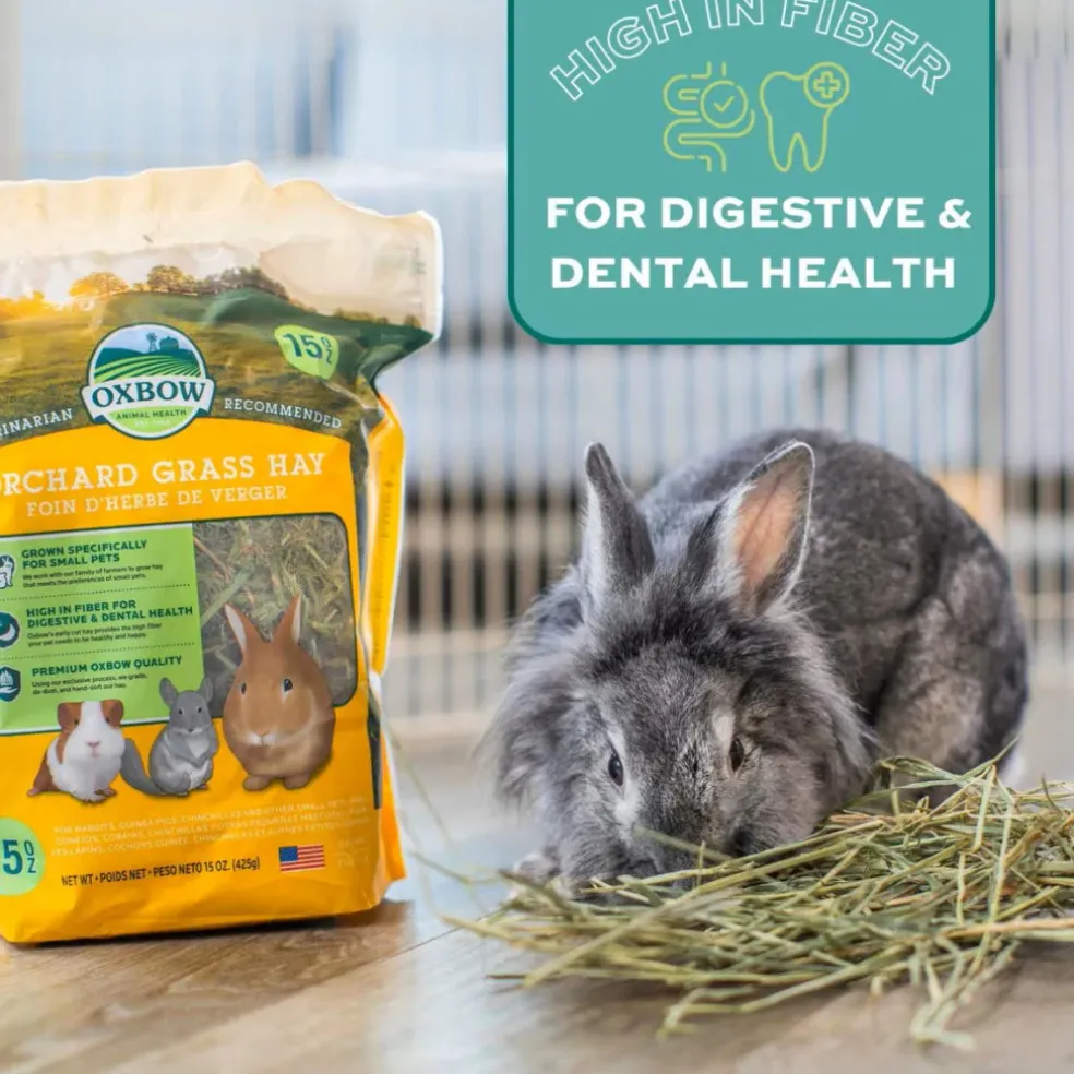 Oxbow Animal Health Orchard Grass Hay Food For Small Animals