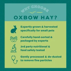 Oxbow Animal Health Orchard Grass Hay Food For Small Animals