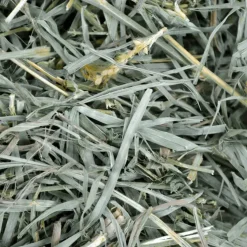 Oxbow Animal Health Organic Meadow Hay